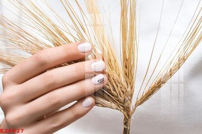 Ảnh gốc File gốc in tranh tổng hợp K28027 (nét căng) in mica