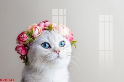 File tranh gốc PSD File gốc in tranh tổng hợp K28041 còn nguyên layer