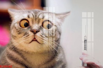 File tranh gốc File gốc in tranh tổng hợp K28045 (bản đẹp) độc quyền