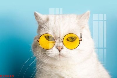 File gốc File gốc in tranh tổng hợp K28049 (cho in UV) siêu nét