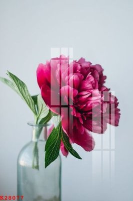 File gốc File gốc in tranh tổng hợp K28077 (trang trí) phòng làm việc