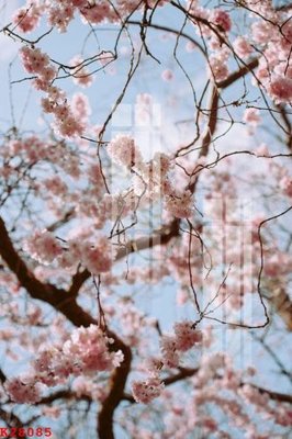 File tranh File gốc in tranh tổng hợp K28085 (bản gốc) in lụa 3D