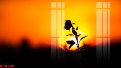 Tải file File gốc in tranh tổng hợp K28208 (gốc) làm tranh treo tường