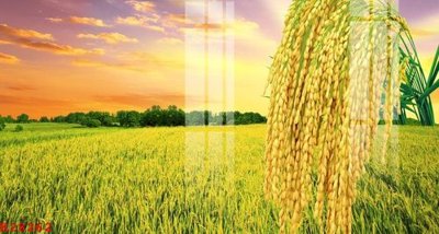 File gốc File gốc in tranh tổng hợp K28262 (ảnh chi tiết) để in ấn