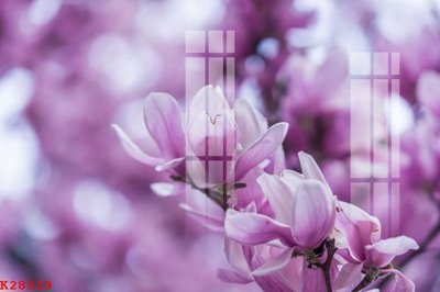 File in lụa File gốc in tranh tổng hợp K28319 (chất lượng cao) File gốc in tranh tổng hợp K28319