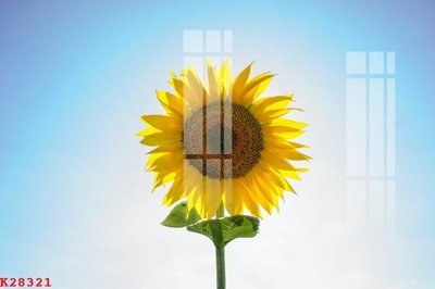 File gốc File gốc in tranh tổng hợp K28321 (in lụa) cao cấp