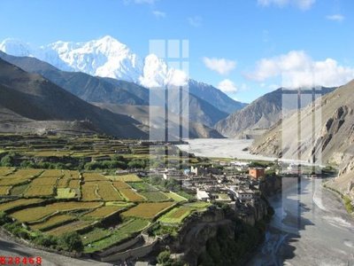 File tranh quảng cáo File gốc in tranh tổng hợp K28468 (download file gốc)