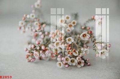 File gốc File gốc in tranh tổng hợp K2859 (in lụa) tranh phong thủy