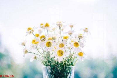 File tranh File gốc in tranh tổng hợp K28636 (gốc) phong cách tối giản