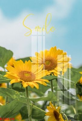 File PSD File gốc in tranh tổng hợp K28638 (nguyên gốc) chất lượng cao