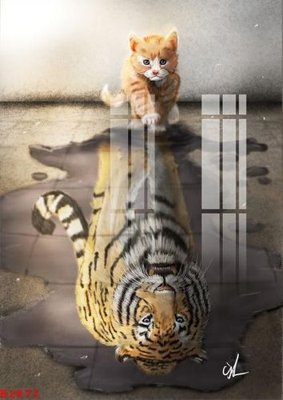 Tải file gốc File gốc in tranh tổng hợp K2871 dùng cho in ấn