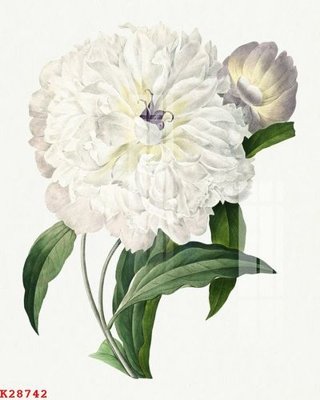 Hình ảnh file gốc File gốc in tranh tổng hợp K28742 (chất lượng cao)