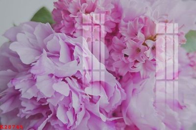 File gốc File gốc in tranh tổng hợp K28745 cho in ấn và thiết kế