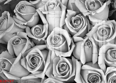 File ảnh File gốc in tranh tổng hợp K28747 (gốc) in Hiflex