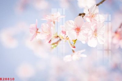 File gốc File gốc in tranh tổng hợp K28810 (cho in 3D) độc đáo