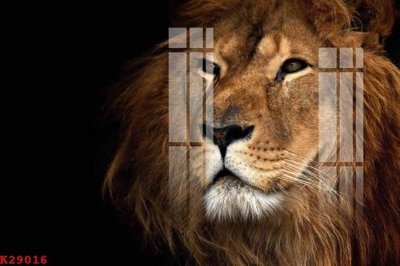 File tranh in mica File gốc in tranh tổng hợp K29016 (độ phân giải cao)