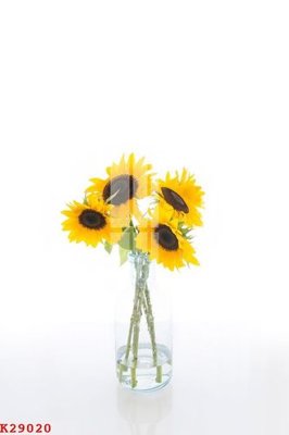 Ảnh gốc File gốc in tranh tổng hợp K29020 (độ nét cao) in tráng gương