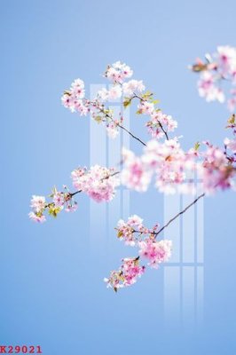 File tranh File gốc in tranh tổng hợp K29021 (gốc) in vải canvas