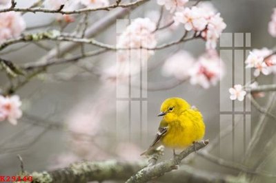 File gốc File gốc in tranh tổng hợp K29140 (thiết kế) cho in ấn