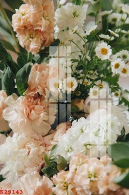 File gốc File gốc in tranh tổng hợp K29143 (dành cho trang trí nội thất)