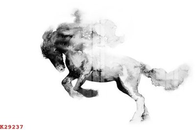 File ảnh File gốc in tranh tổng hợp K29237 (gốc) in PP, decal