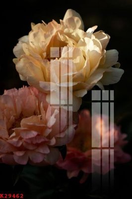 Tải file tranh File gốc in tranh tổng hợp K29462 (gốc) tại Filetranh.com