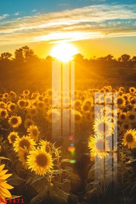 File in ấn cao cấp File gốc in tranh tổng hợp K29471 (file gốc)