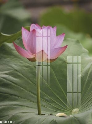 Tải file File gốc in tranh tổng hợp K30109 (gốc) để in ấn ngay