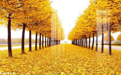 File PSD in ấn File gốc in tranh tổng hợp K30164 (chất lượng cao)