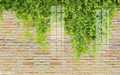 File tranh gốc File gốc in tranh tổng hợp K30483 (bản quyền) độc đáo