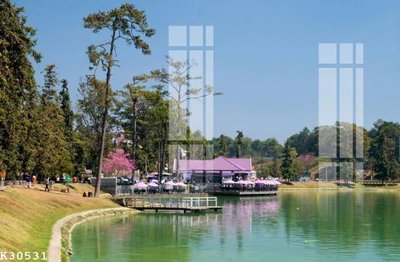 Download file File gốc in tranh tổng hợp K30531 (gốc) in mica cao cấp