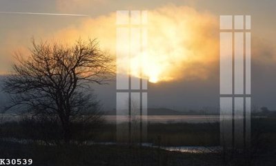 Tải file gốc in lụa File gốc in tranh tổng hợp K30539 siêu nét