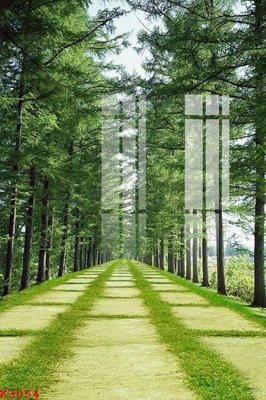 Chi tiết file ảnh File gốc in tranh tổng hợp K3054 sắc nét