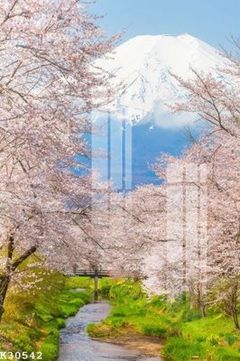 File tranh gốc File gốc in tranh tổng hợp K30542 (bản quyền) file PSD