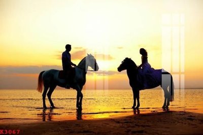 File in lụa File gốc in tranh tổng hợp K3067 (hoa văn) File gốc in tranh tổng hợp K3067