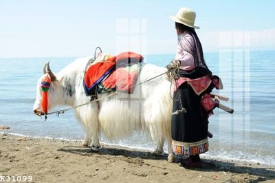 File gốc File gốc in tranh tổng hợp K31099 (trang trí) phòng trẻ em