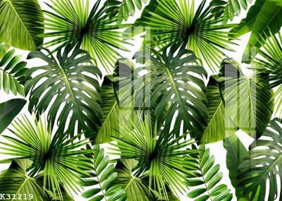 File tranh File gốc in tranh tổng hợp K31219 (gốc) chủ đề thiên nhiên