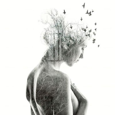 Tải file File gốc in tranh tổng hợp K31234 (gốc) chủ đề hoa sen