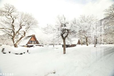 File tranh gốc File gốc in tranh tổng hợp K31248 (bản đẹp) độc quyền