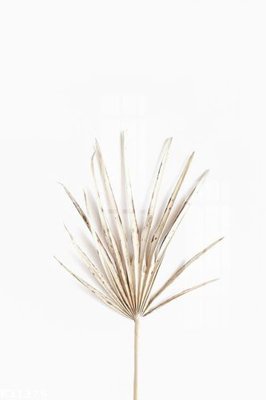 File gốc File gốc in tranh tổng hợp K31275 (ảnh chi tiết) để in lụa