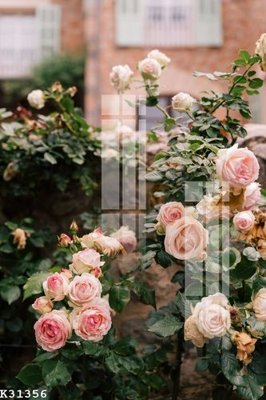 Tải file gốc File gốc in tranh tổng hợp K31356 (bản PSD) đầy đủ layer