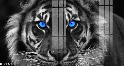 File in lụa File gốc in tranh tổng hợp K31415 (hoa văn) File gốc in tranh tổng hợp K31415