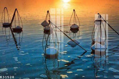 File in trần File gốc in tranh tổng hợp K31528 (bản gốc 3D) sống động