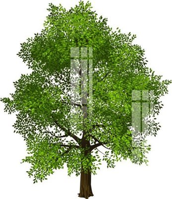 Chi tiết file tranh tráng gương File gốc in tranh tổng hợp K31569 (ảnh gốc)