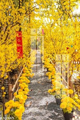 File gốc in tráng gương File gốc in tranh tổng hợp K31905 chi tiết