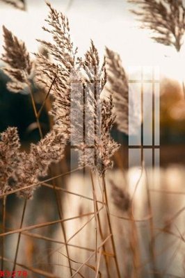 Download file gốc File gốc in tranh tổng hợp K3278 (in mica) 3D