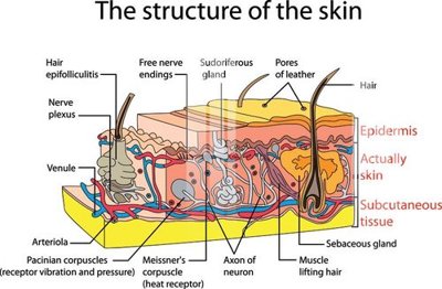 File in trần File gốc in tranh tổng hợp K33440 (bản gốc 3D) sống động