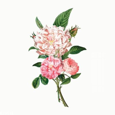 File tranh File gốc in tranh tổng hợp K33541 (file gốc) chuẩn màu in