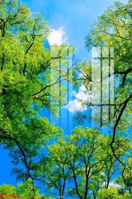 File tranh gốc File gốc in tranh tổng hợp K3734 chủ đề hiện đại