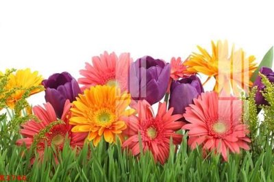 Download file gốc File gốc in tranh tổng hợp K3746 (in mica) logo